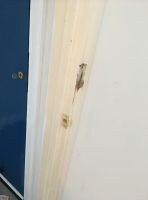 Door4